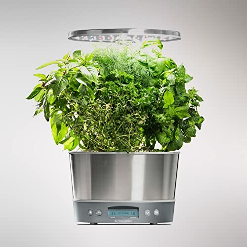 AeroGarden Harvest Elite 360 with plants