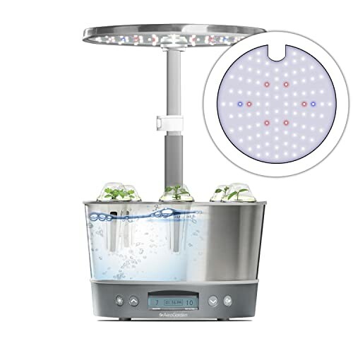 Growing herbs indoors with AeroGarden Harvest Elite 360