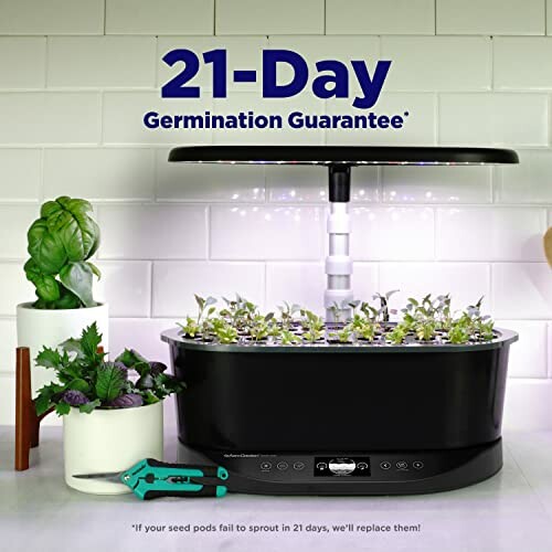 Indoor garden kit with plants and LED light for germination.